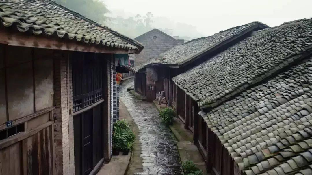 合金装备：幸存
